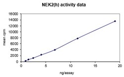 Eurofins DiscoverX NEK2 Protein, Active 10 &mu;g | Buy Online | Eurofins DiscoverX | Fisher Scientific